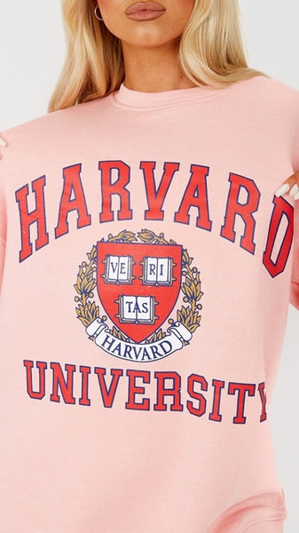 Harvard Oversized Pink Sweatshirt