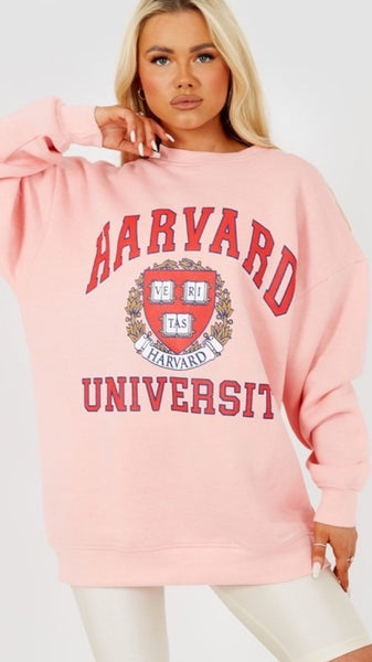 Harvard Oversized Pink Sweatshirt